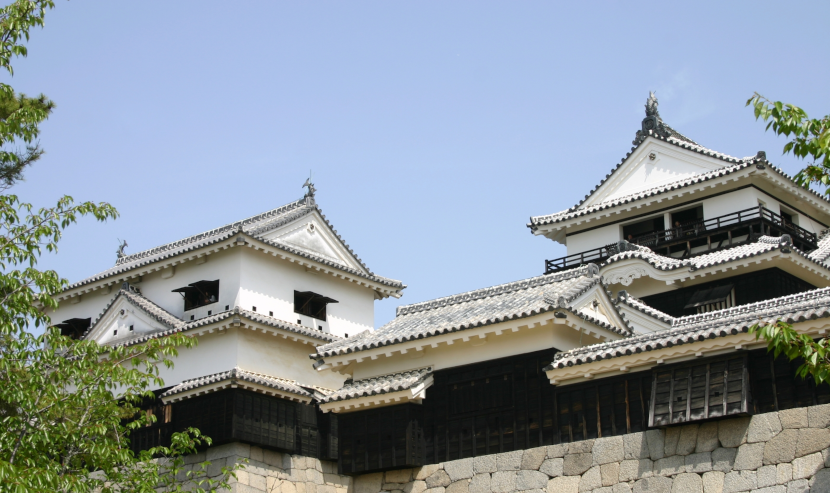 公社)愛媛県鍼灸師会第1回生涯研修会のご案内